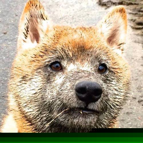 开云体育入口-【动态时间限制】投手每次投球时间不得超过10秒的试点效果，投手投球时投球应快准